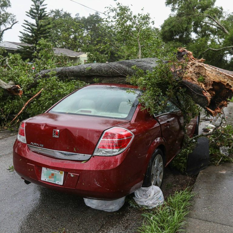 Rotes Auto das auf der Straße steht und auf dem ein umgestürzter Baum liegt.