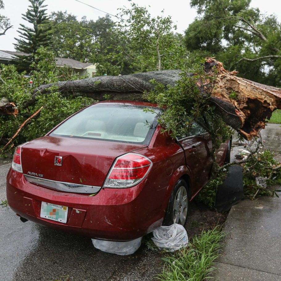 Rotes Auto auf einer Straße, auf dem ein umgestürzter Baum liegt.